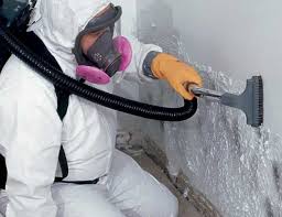 Best Mold Removal for HVAC Installations  in Hebron, PA